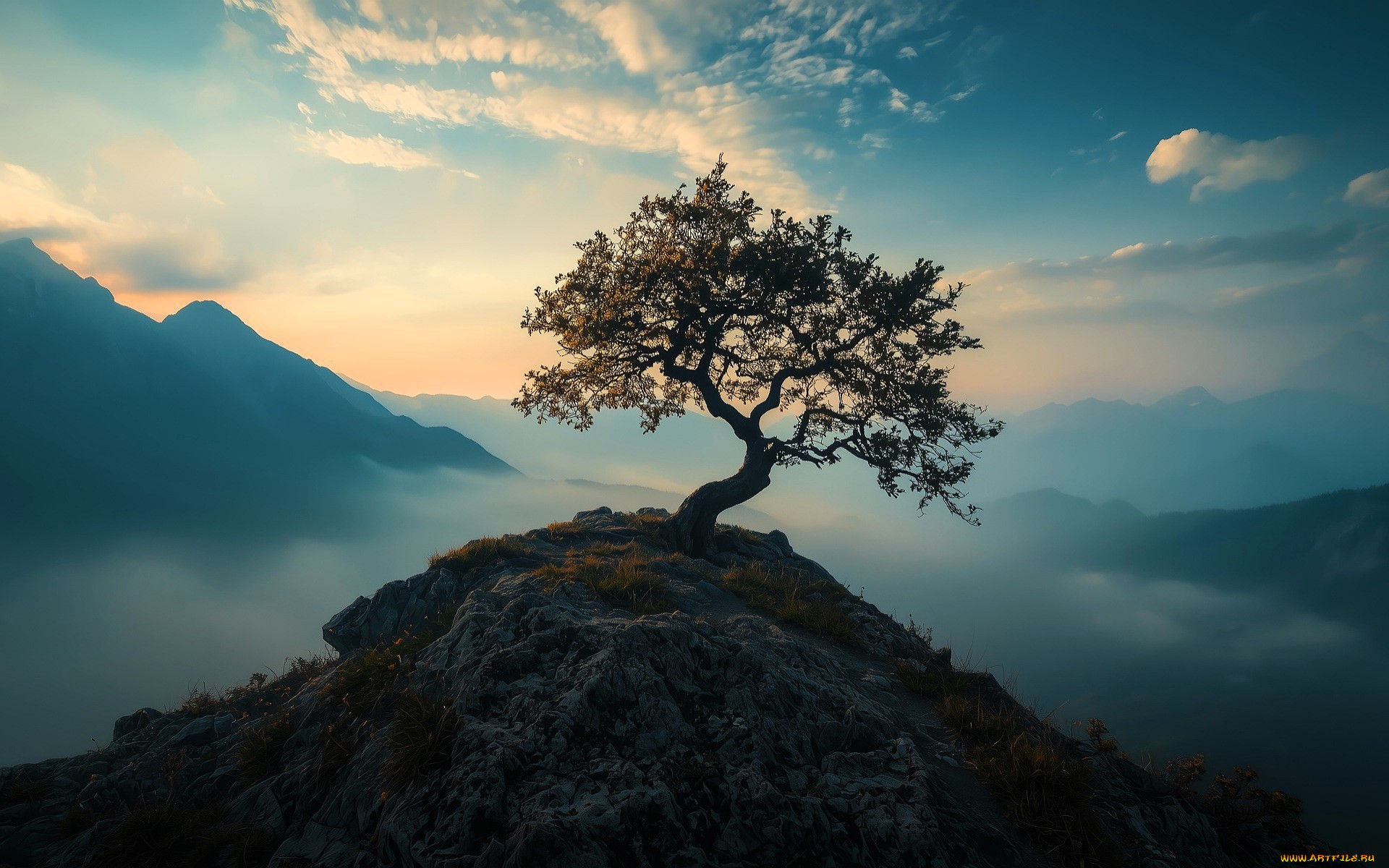 �������, ����, �����, ������, ������